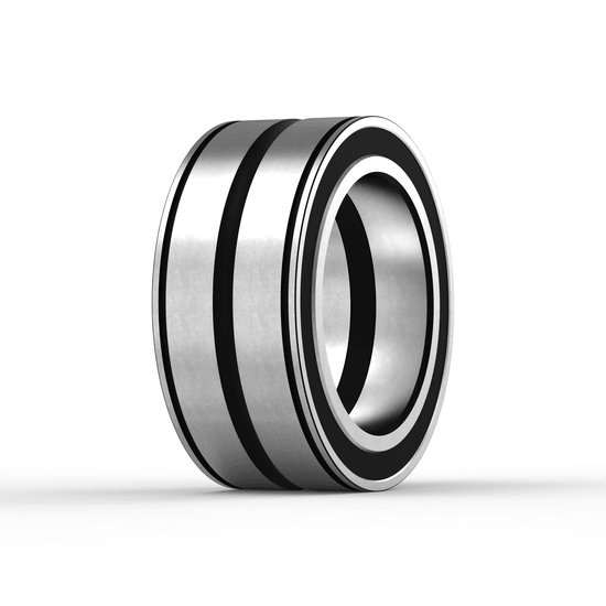 SL045010-PP-C3 INA - Zylinderrollenlager with white background