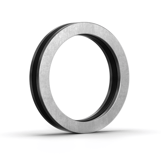 81116-TV INA - Axial-Zylinderrollenlager with white background