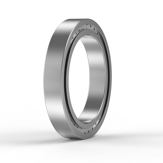 SL182224 INA - Zylinderrollenlager with white background